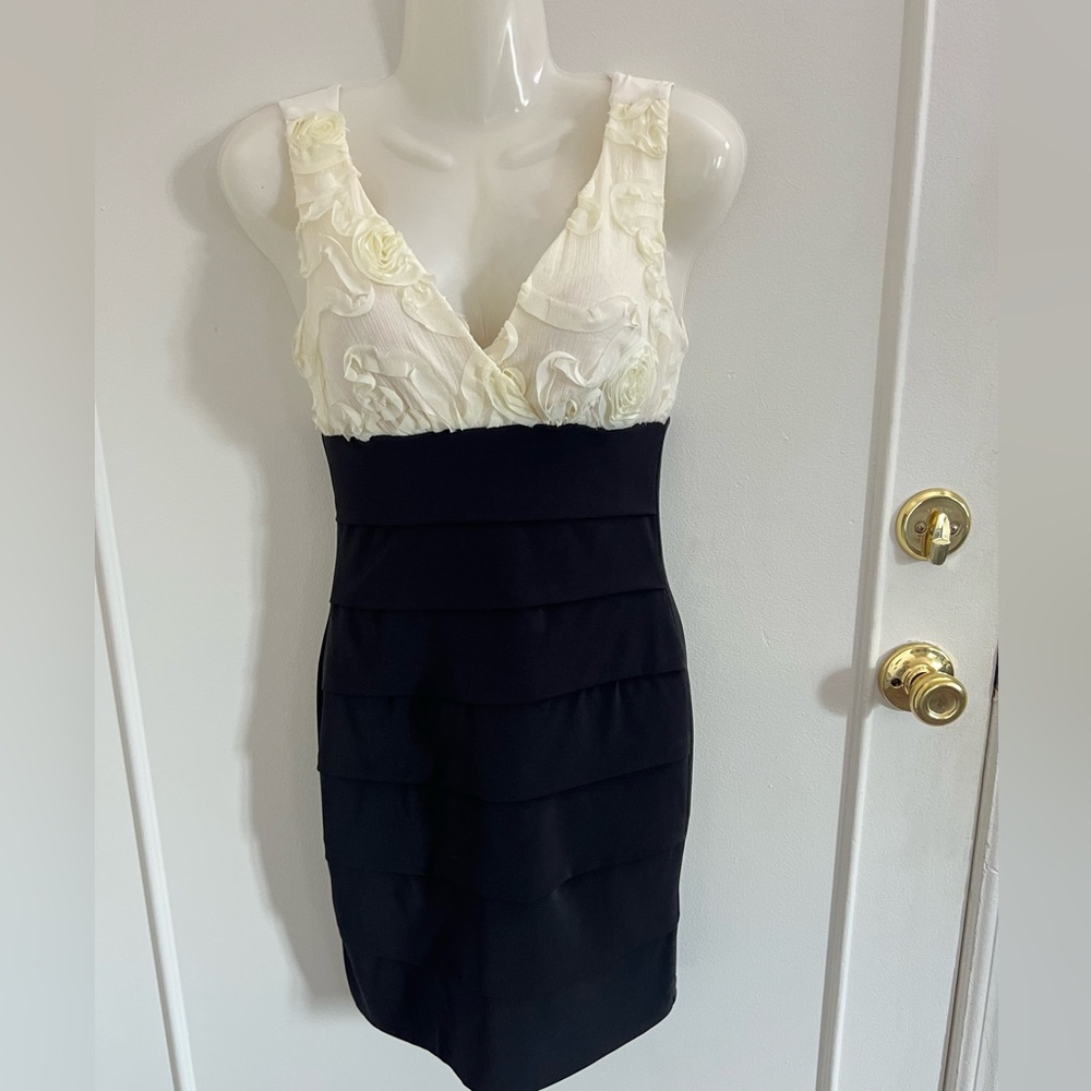 Black & White Classy Fitted Dress